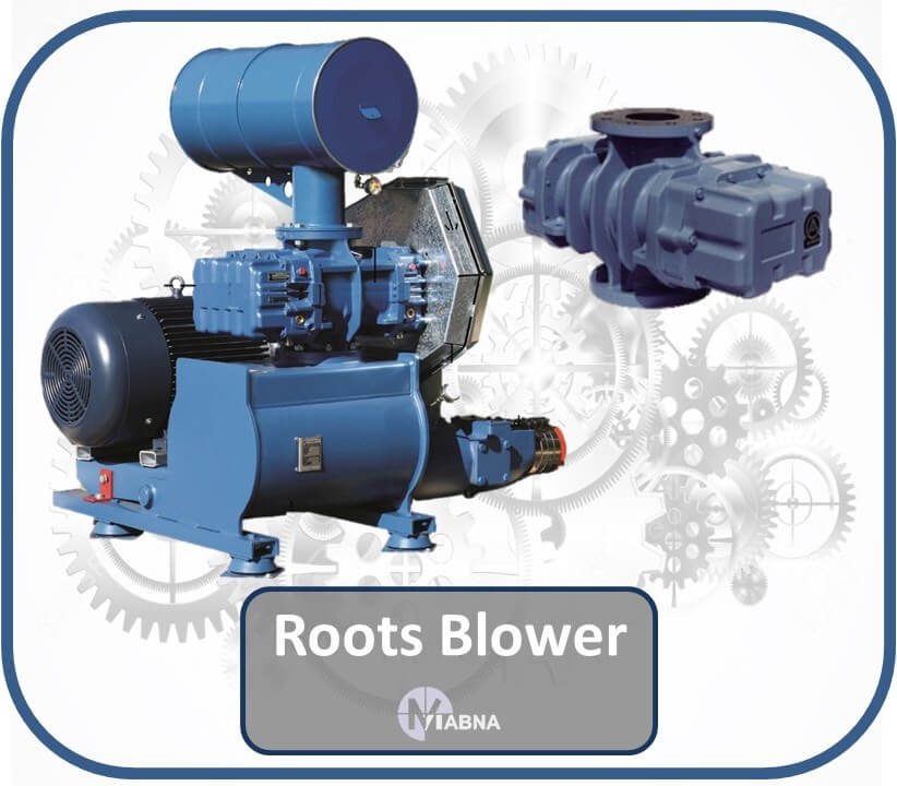 Roots Blower